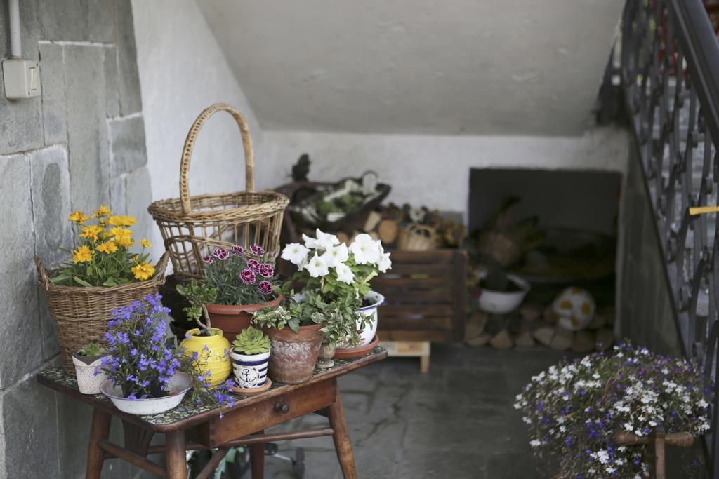 B&B La Gerbolina San Giusto Canavese ภายนอก รูปภาพ