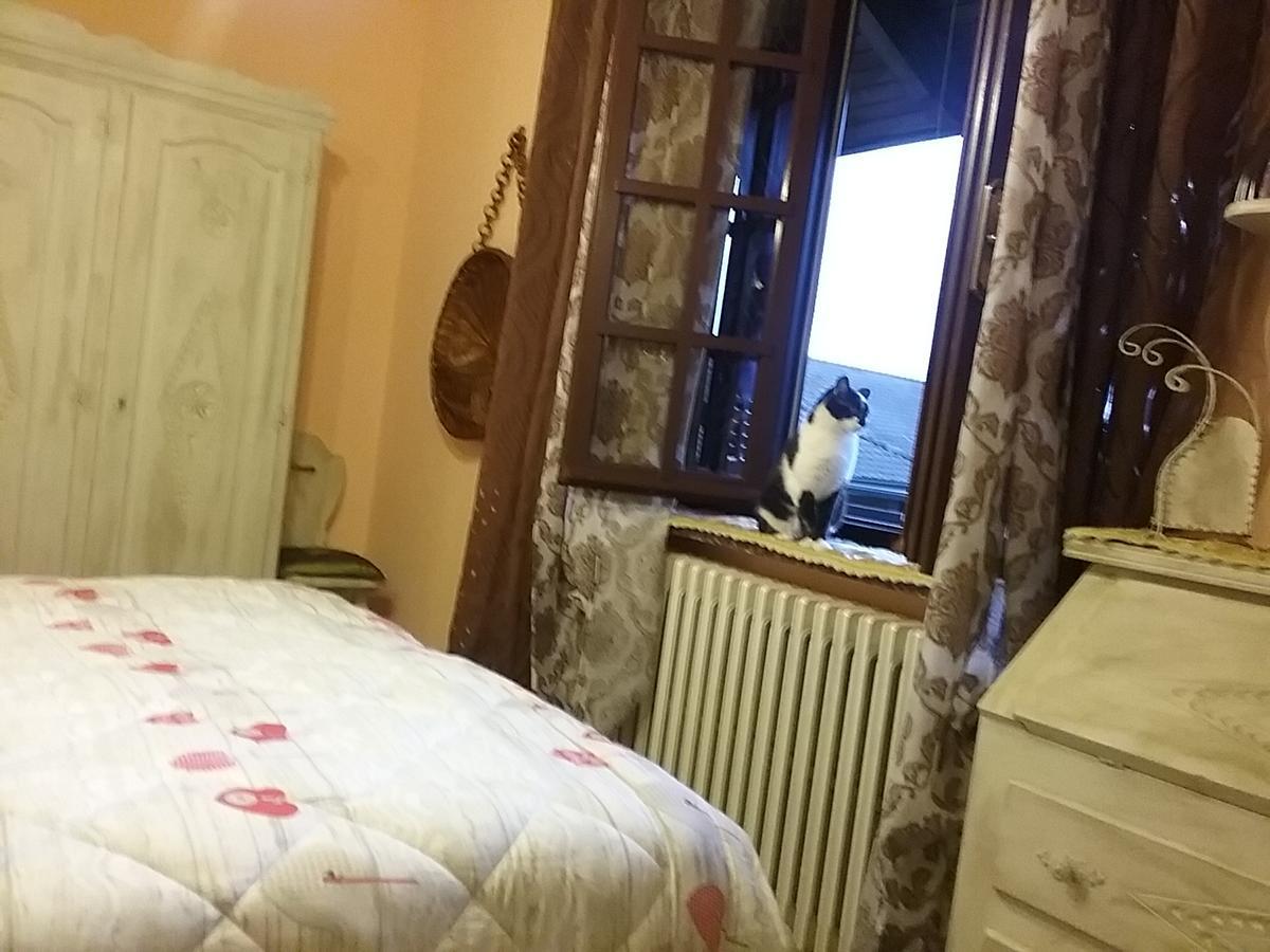 B&B La Gerbolina San Giusto Canavese ภายนอก รูปภาพ